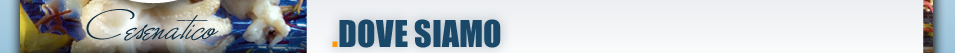 DOVE SIAMO